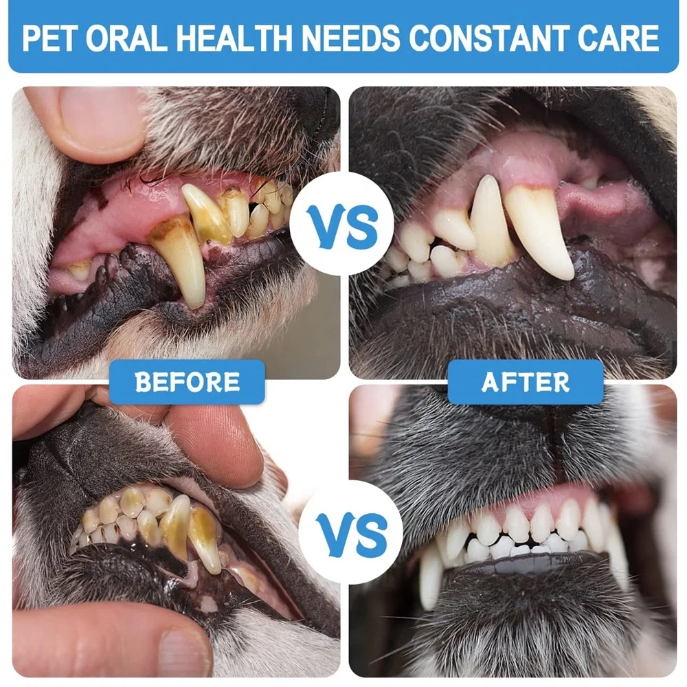 RETAILS $65- Dog/Cat Electric Toothbrush Kit, 360 Tartar Remover, Low Noise